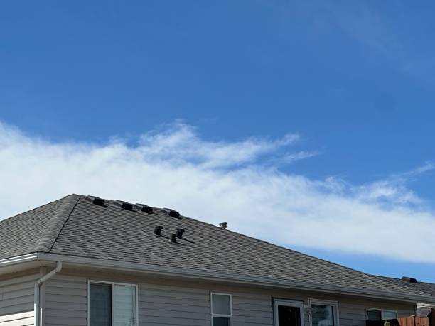 Best Roof Moss and Algae Removal  in Saylorsburg, PA